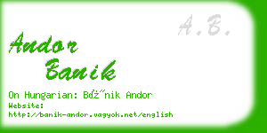 andor banik business card